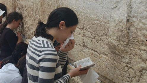 娱乐圈的吃瓜人叫什么